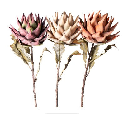 Large Protea Stem