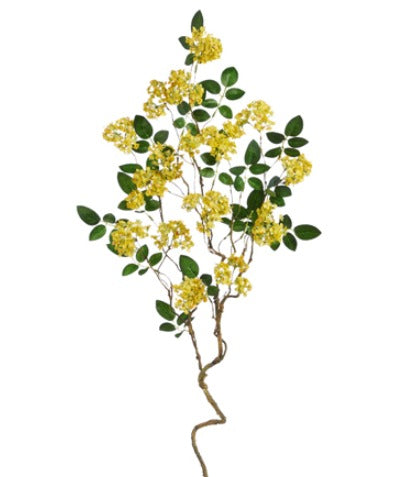 YELLOW BLOSSOM BRANCH