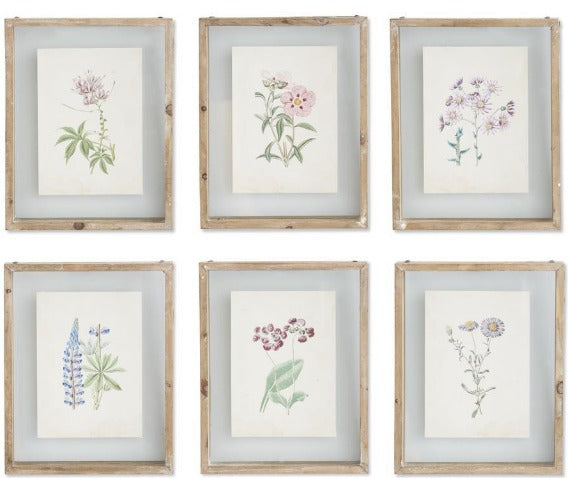 BOTANICAL PRINTS IN SHADOW BOX WOOD FRAME