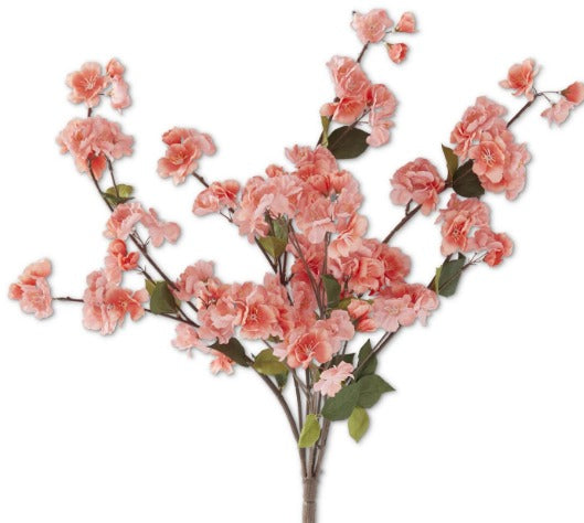 Coral Peach Blossom Bush