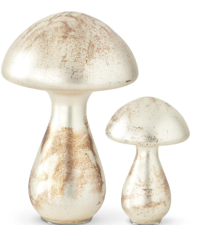 BURNT CHAMPAGNE GLASS MUSHROOM