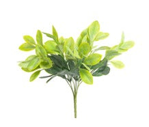 LEMON LEAF GREEN