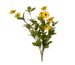 DAISY BUSH YELLOW