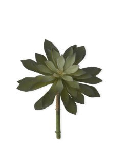 Two Tone Green Succulent Pick