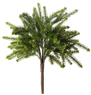 PINE BUNDLE